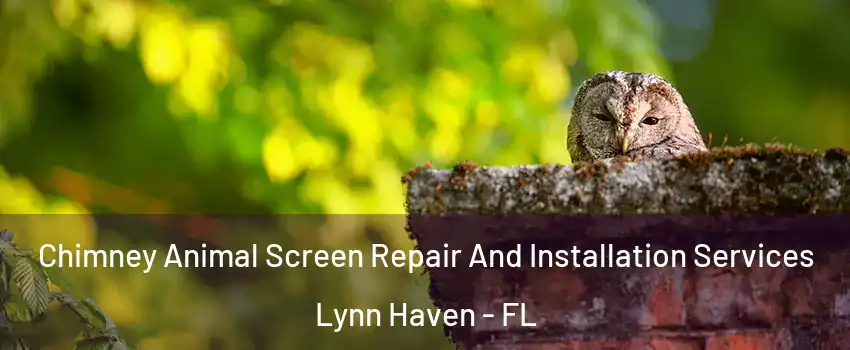  Chimney Animal Screen Repair And Installation Services Lynn Haven - FL