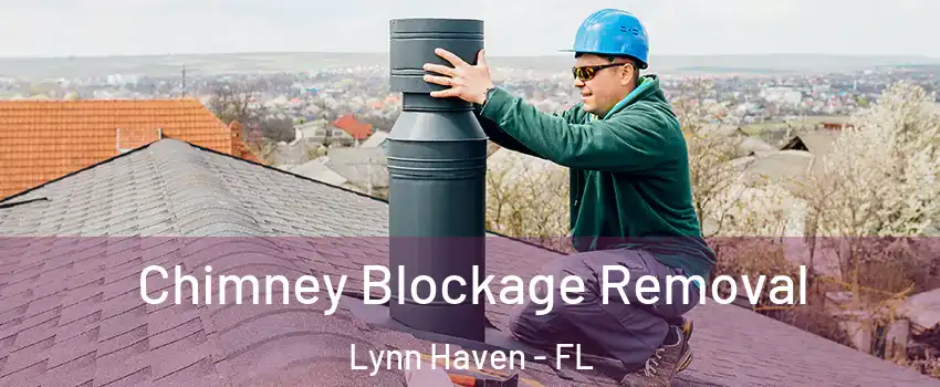  Chimney Blockage Removal Lynn Haven - FL
